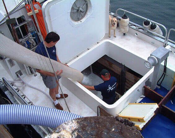 Ice Delivery Systems